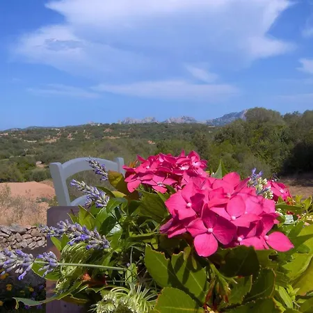 Bed & Breakfast Stazzu Cumita Country Arzachena